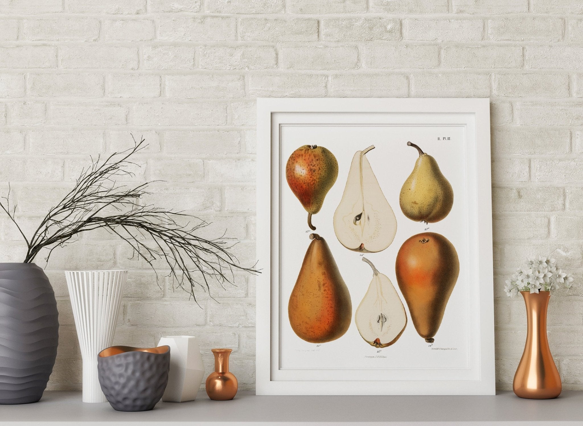 Vintage Fresh Pears 1887 Print - Magic Posters