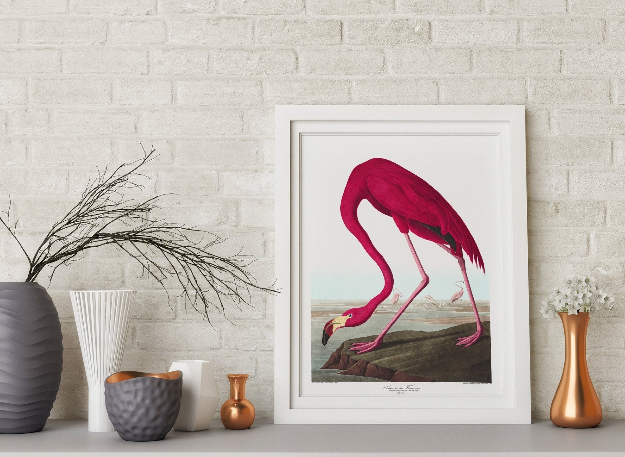American Flamingo Print - Magic Posters