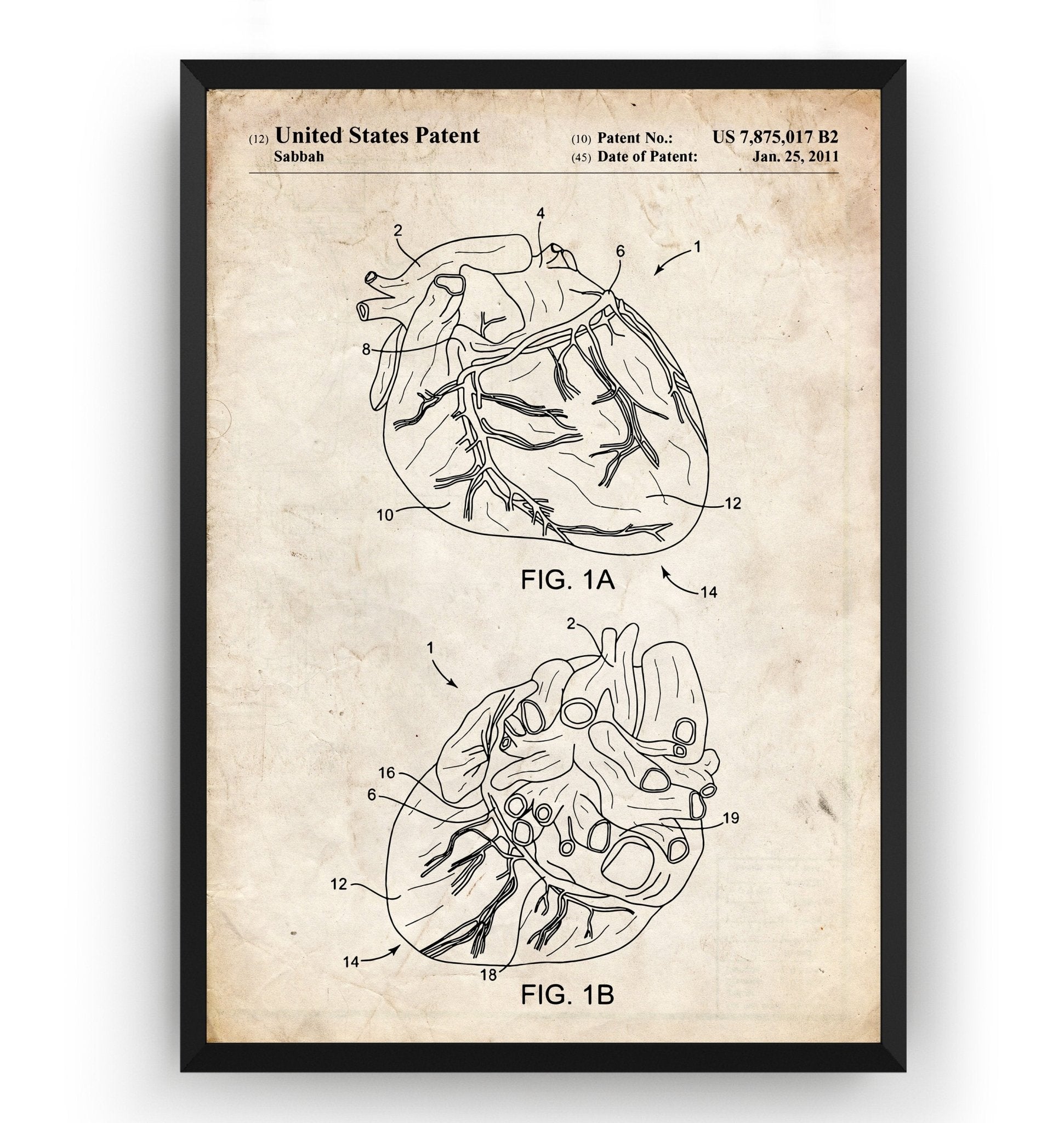 Anatomical Heart Patent Print - Magic Posters