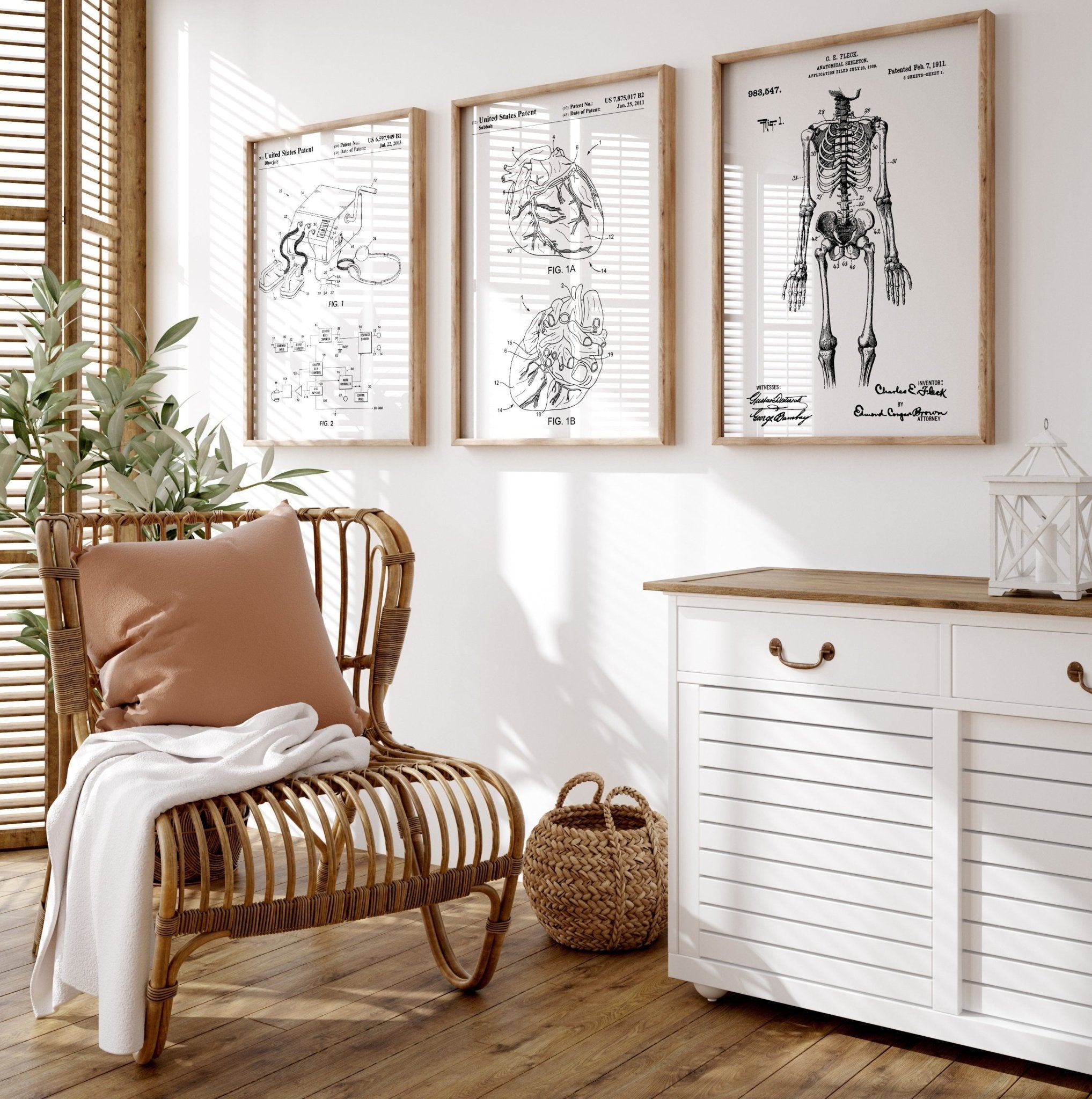 Anatomical Set Of 3 Patent Prints - Magic Posters