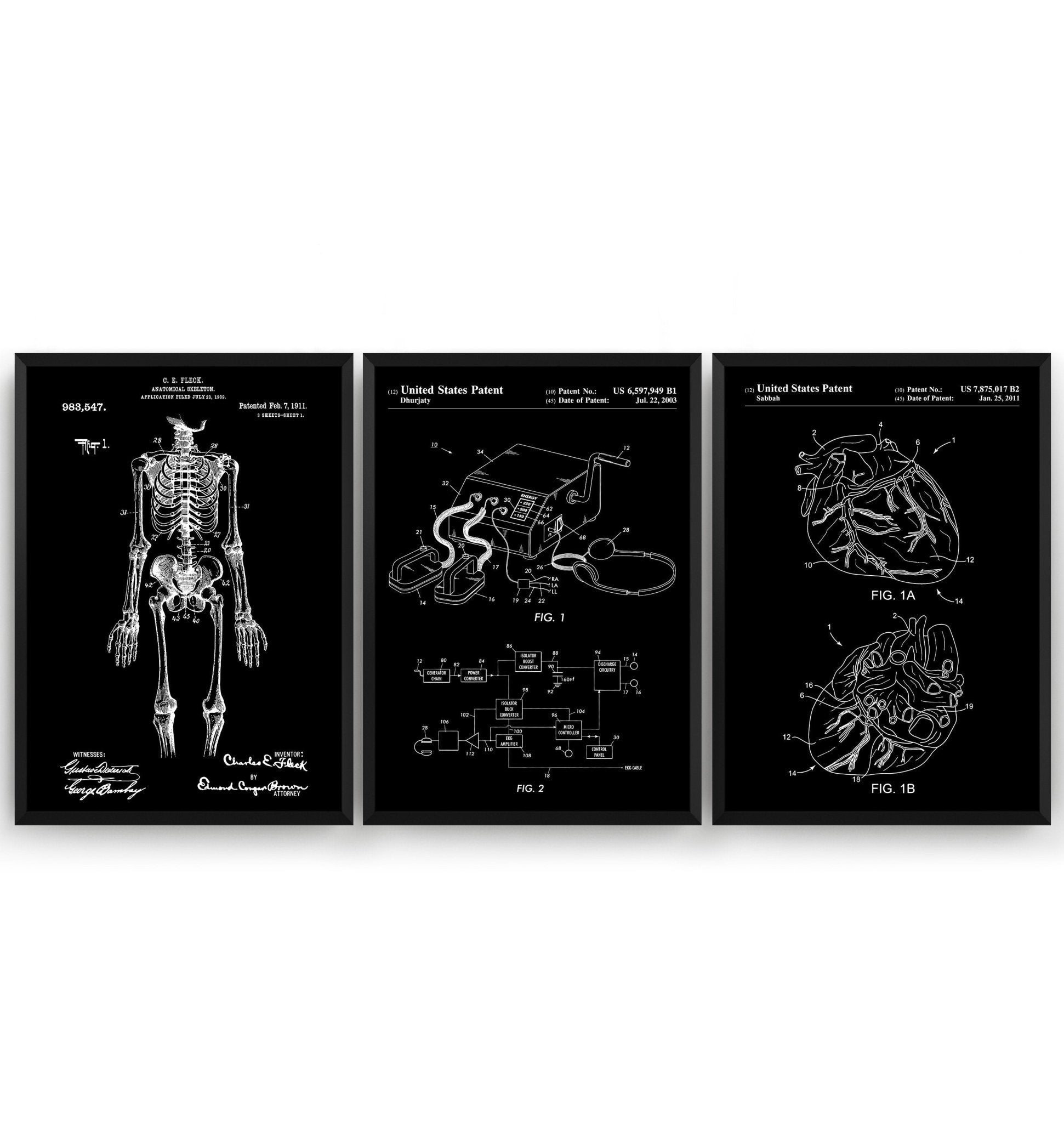 Anatomical Set Of 3 Patent Prints - Magic Posters