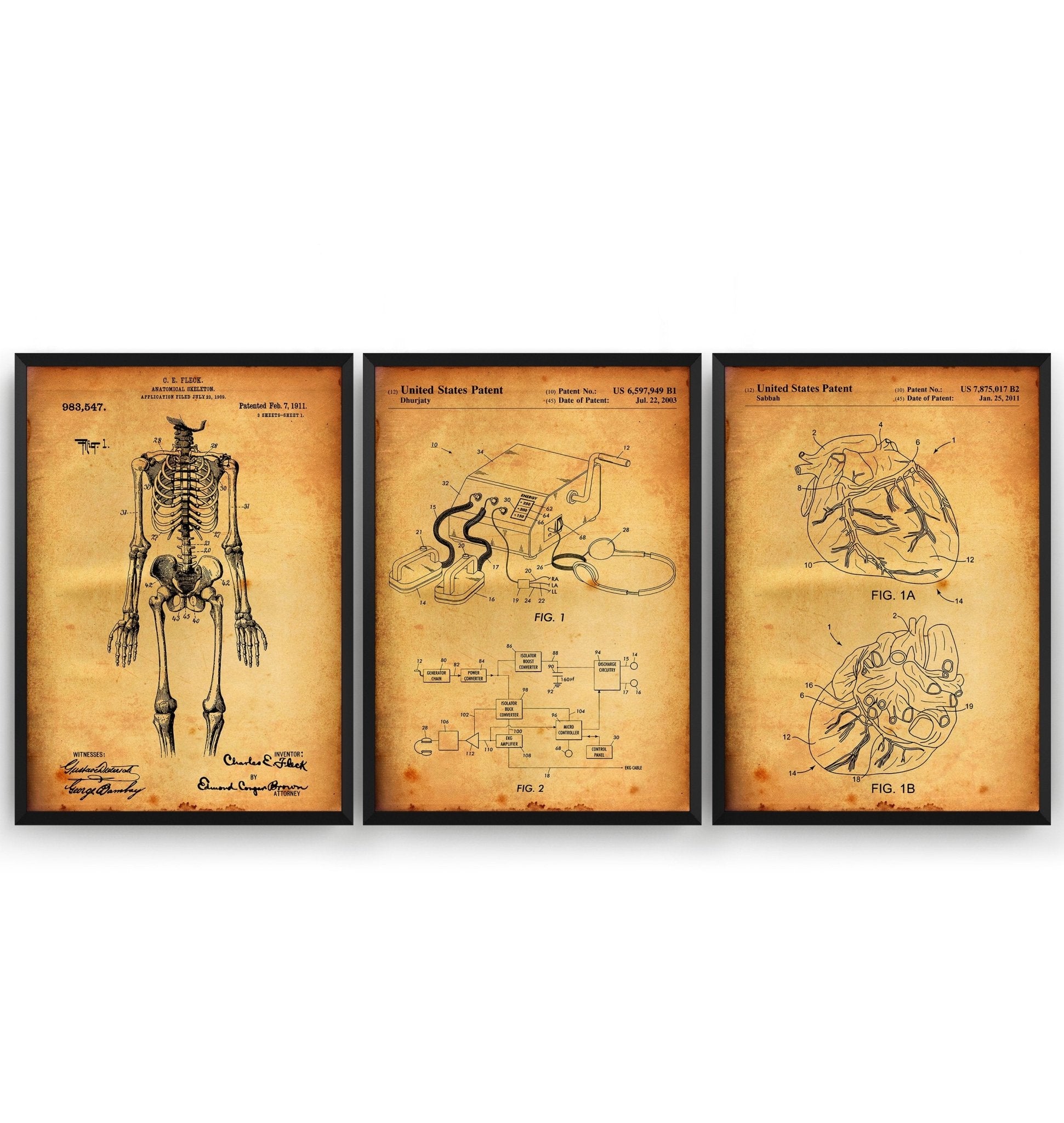 Anatomical Set Of 3 Patent Prints - Magic Posters