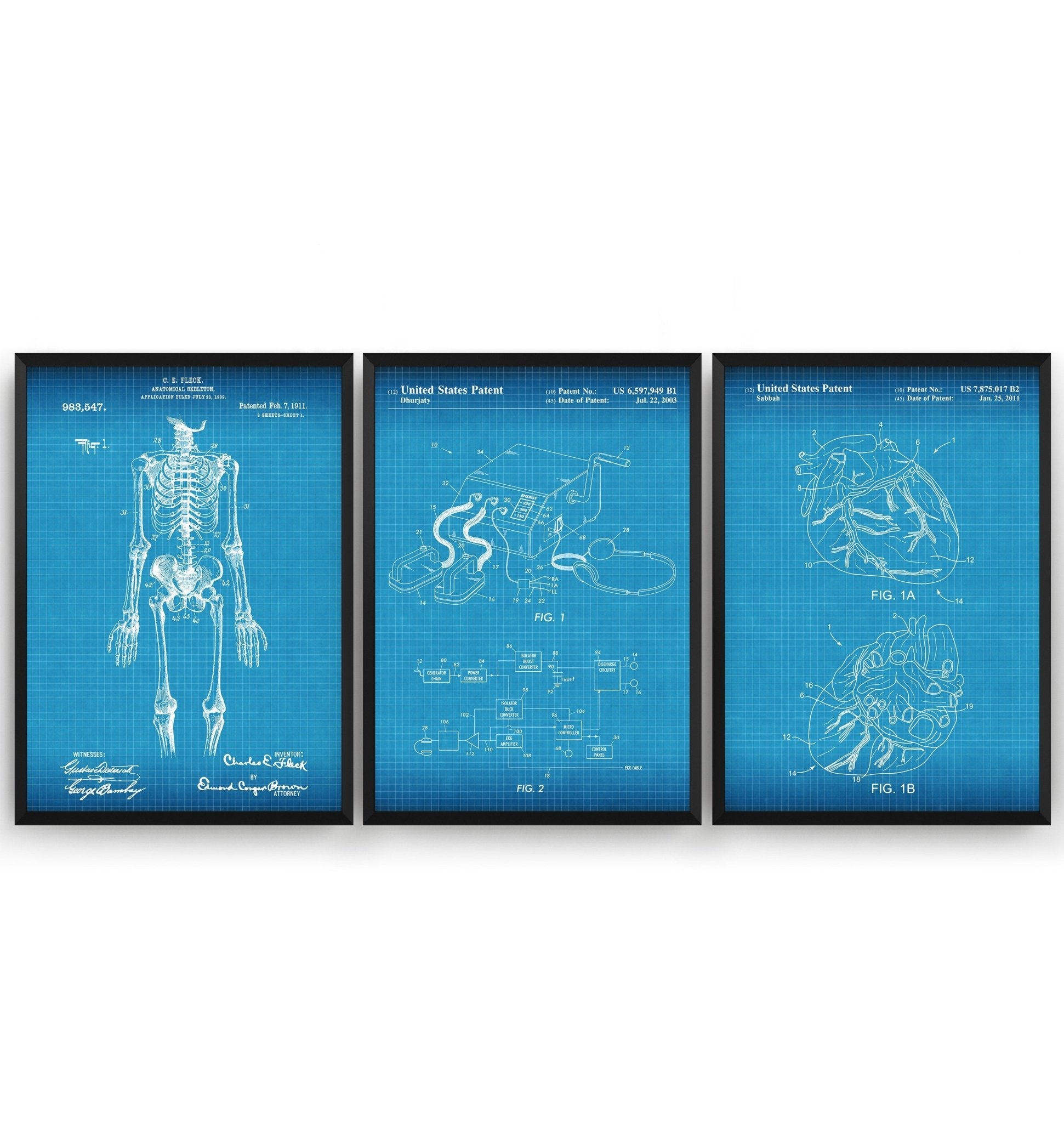 Anatomical Set Of 3 Patent Prints - Magic Posters