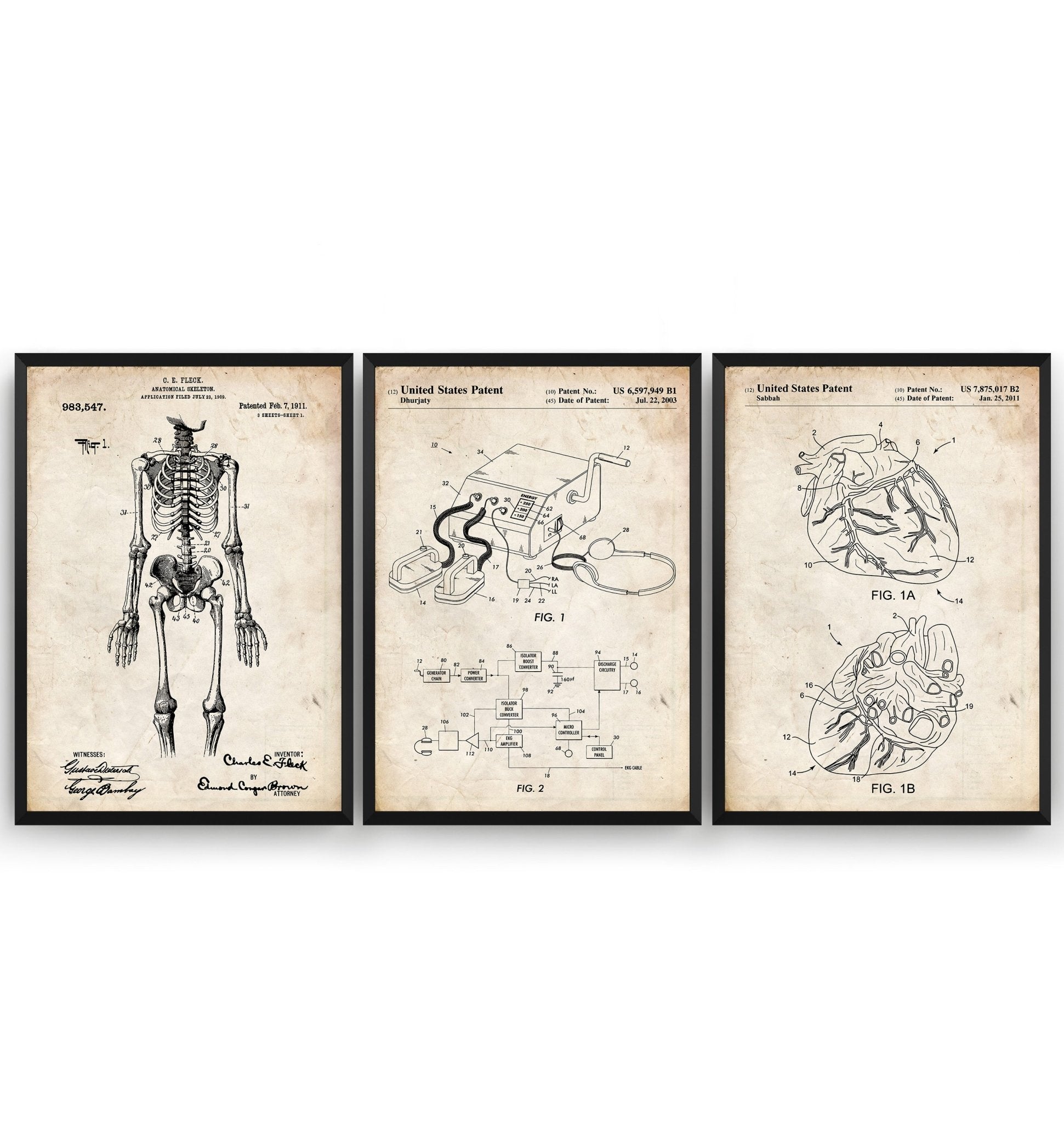 Anatomical Set Of 3 Patent Prints - Magic Posters
