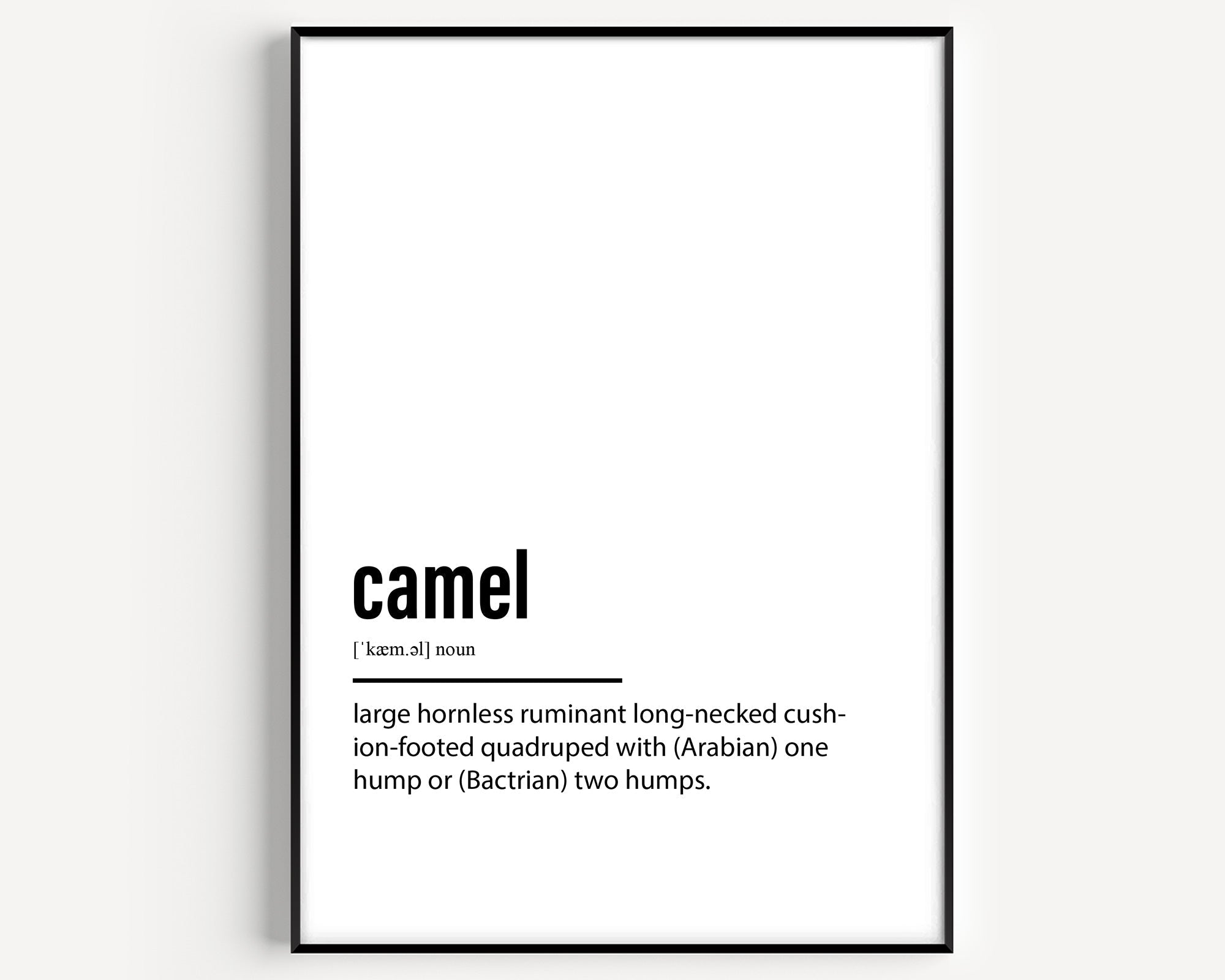 Camel Definition Print - Magic Posters