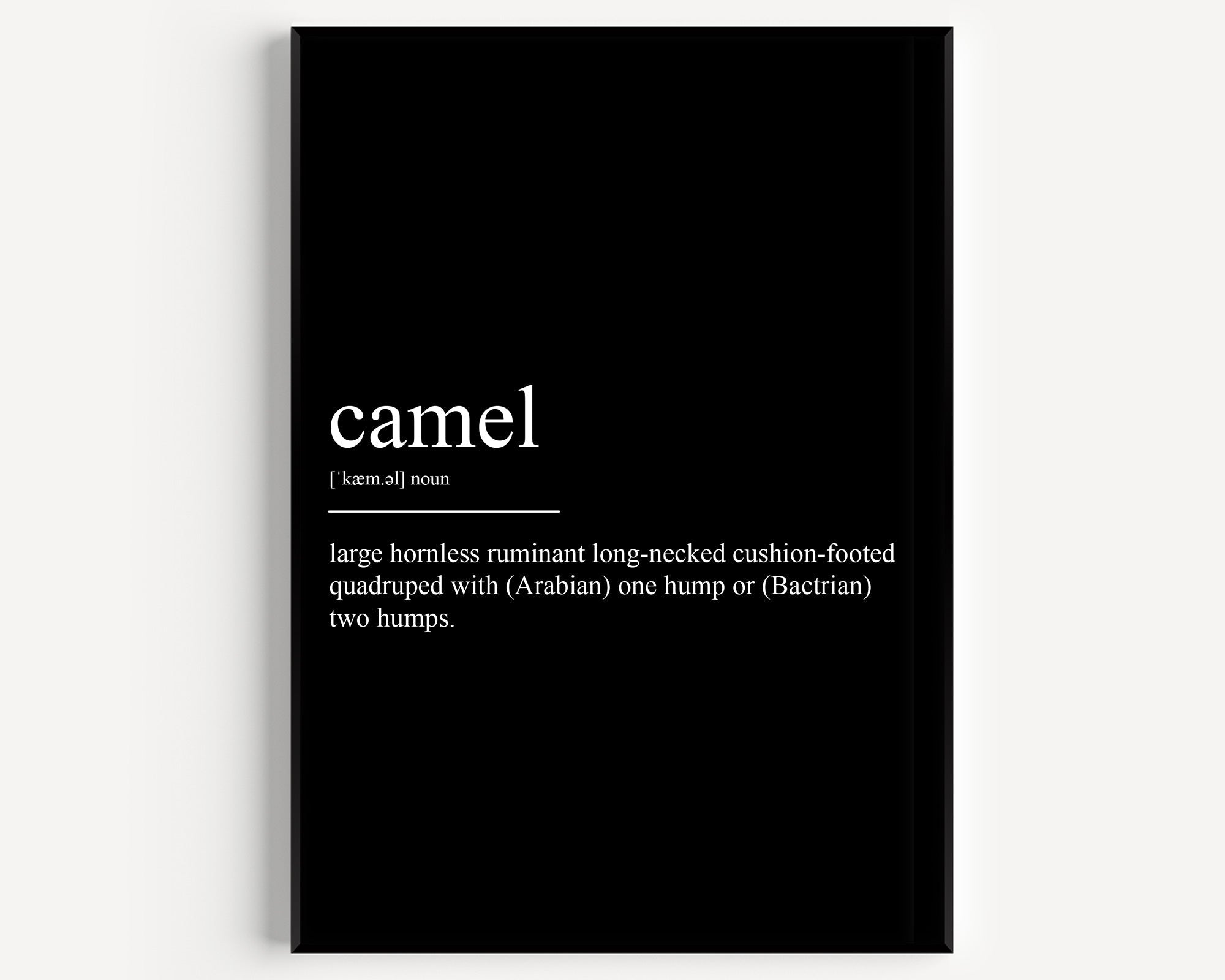 Camel Definition Print - Magic Posters