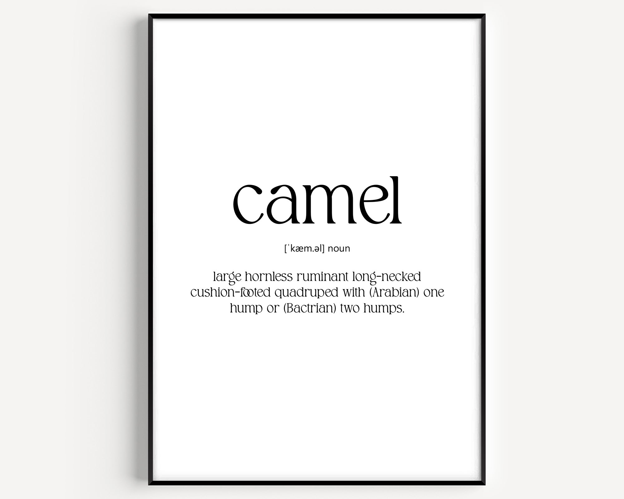 Camel Definition Print - Magic Posters