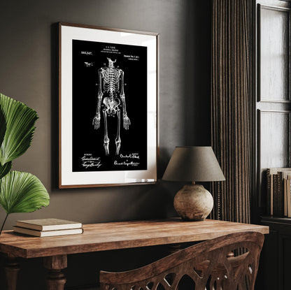 Anatomical Skeleton 1911 Patent Print - Magic Posters