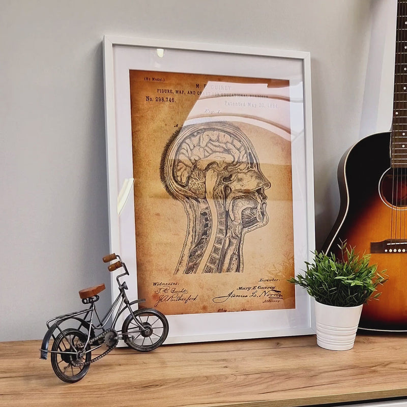 Anatomical Head 1884 Patent Print - Magic Posters