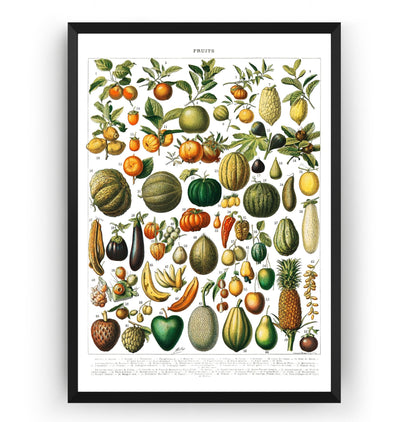 Vintage Variety Of Fruits And Vegetables 1898 Print - Magic Posters