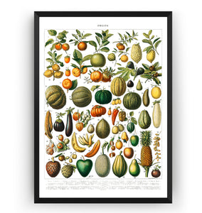 Vintage Variety Of Fruits And Vegetables 1898 Print - Magic Posters