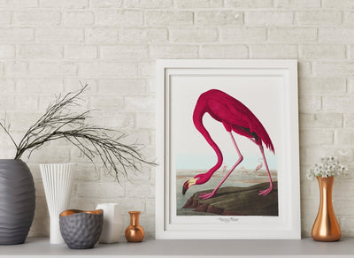 American Flamingo Print - Magic Posters