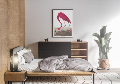 American Flamingo Print - Magic Posters