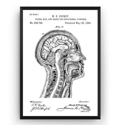 Anatomical Head 1884 Patent Print - Magic Posters