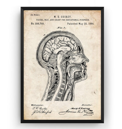 Anatomical Head 1884 Patent Print - Magic Posters