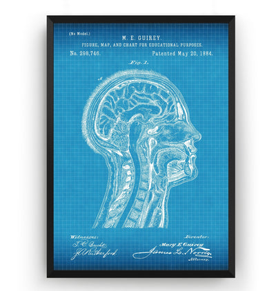 Anatomical Head 1884 Patent Print - Magic Posters