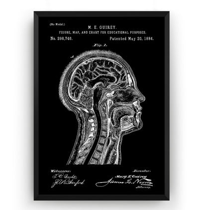 Anatomical Head 1884 Patent Print - Magic Posters