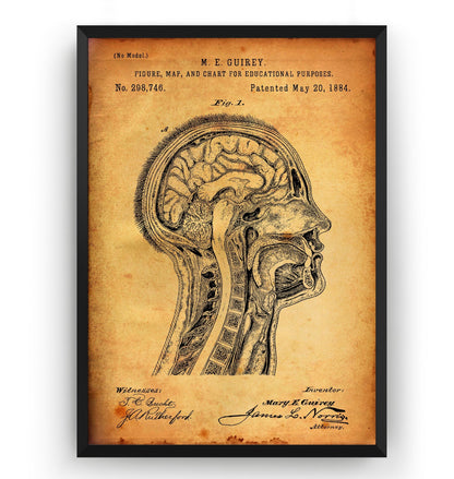 Anatomical Head 1884 Patent Print - Magic Posters