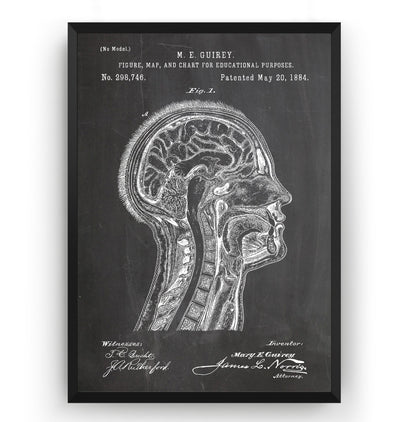 Anatomical Head 1884 Patent Print - Magic Posters