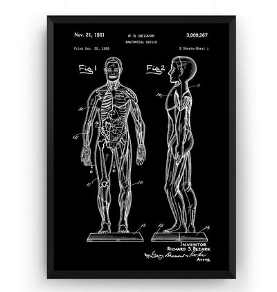 Anatomical Muscle 1961 Patent Print - Magic Posters