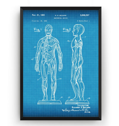 Anatomical Muscle 1961 Patent Print - Magic Posters