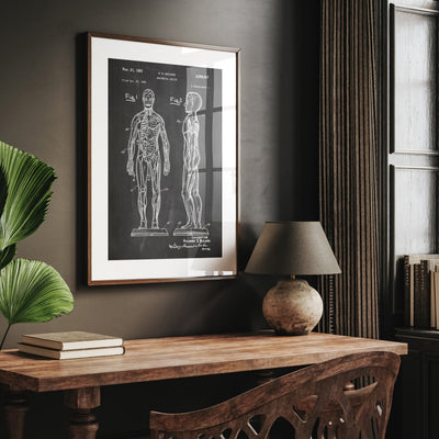Anatomical Muscle 1961 Patent Print - Magic Posters
