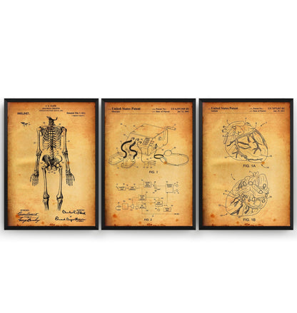 Anatomical Set Of 3 Patent Prints - Magic Posters