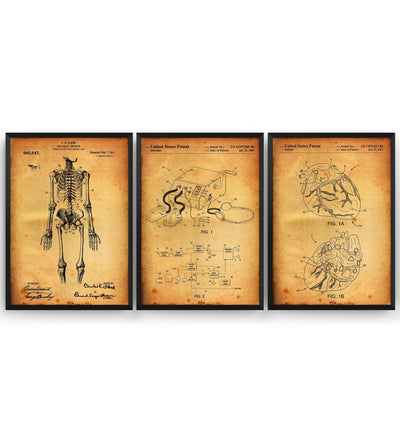 Anatomical Set Of 3 Patent Prints - Magic Posters