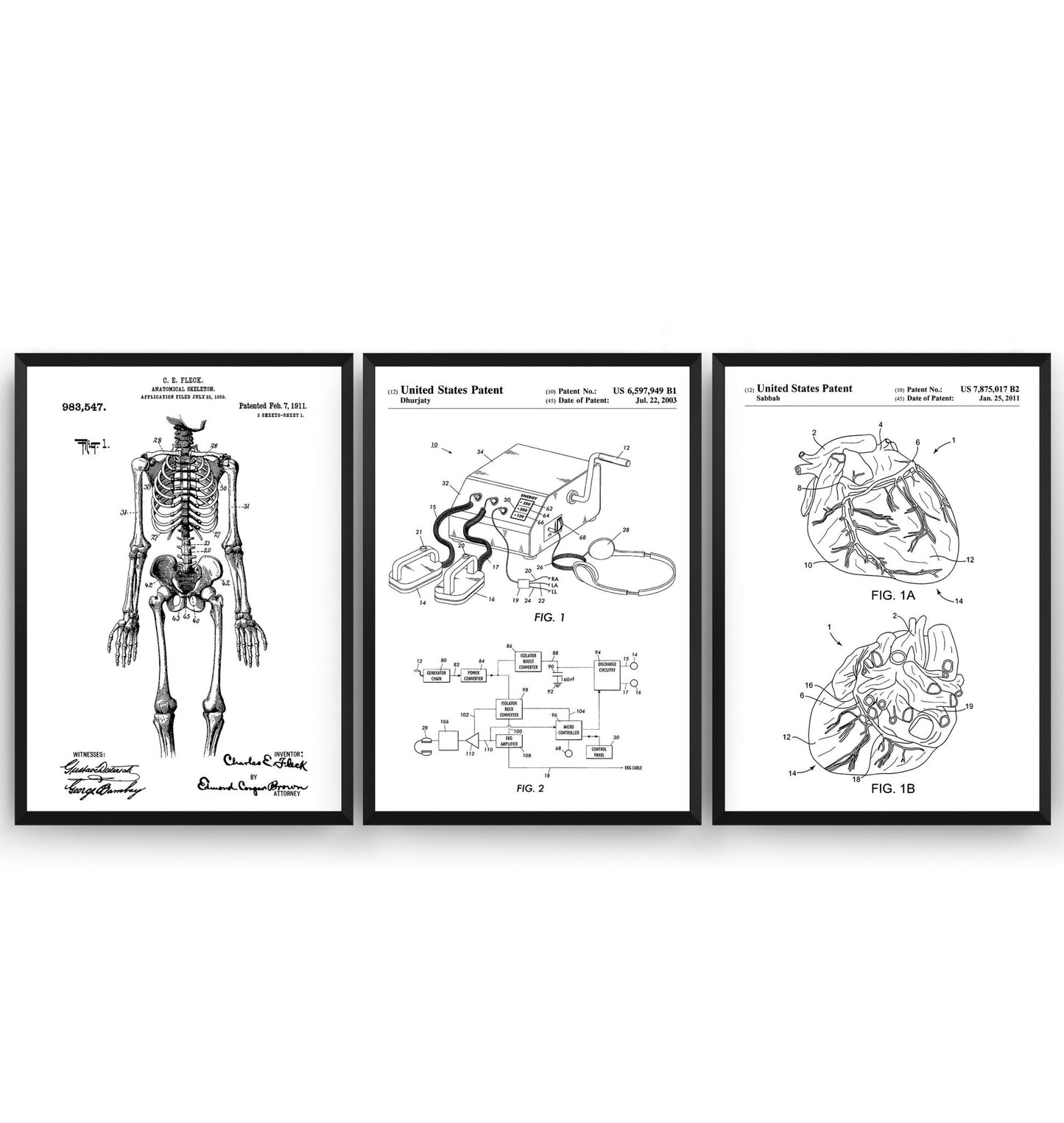 Anatomical Set Of 3 Patent Prints - Magic Posters