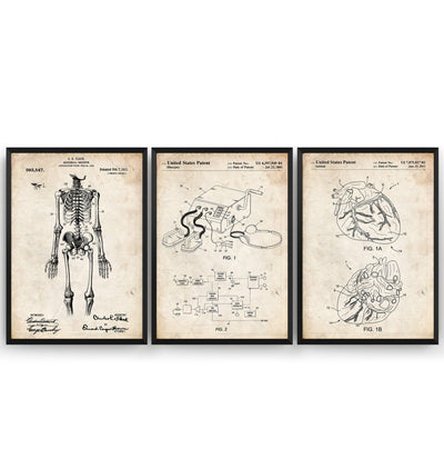 Anatomical Set Of 3 Patent Prints - Magic Posters
