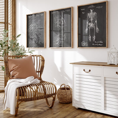 Anatomical Set Of 3 Patent Prints - Magic Posters