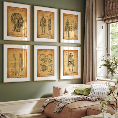 Anatomy Set Of 6 Patent Prints - Magic Posters