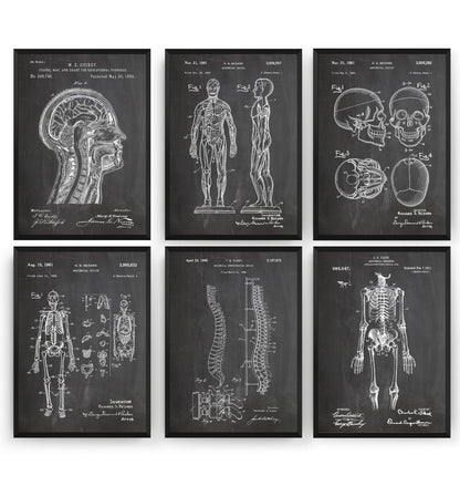 Anatomy Set Of 6 Patent Prints - Magic Posters