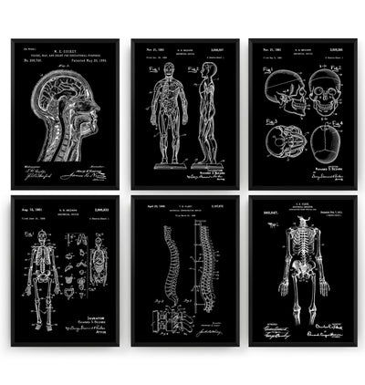 Anatomy Set Of 6 Patent Prints - Magic Posters