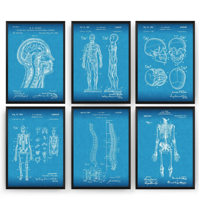 Anatomy Set Of 6 Patent Prints - Magic Posters