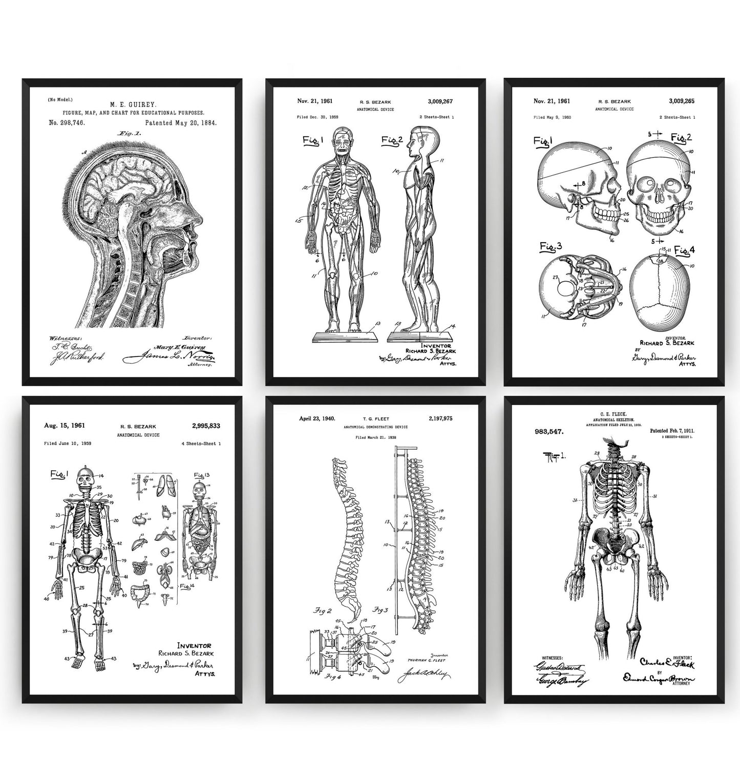 Anatomy Set Of 6 Patent Prints - Magic Posters