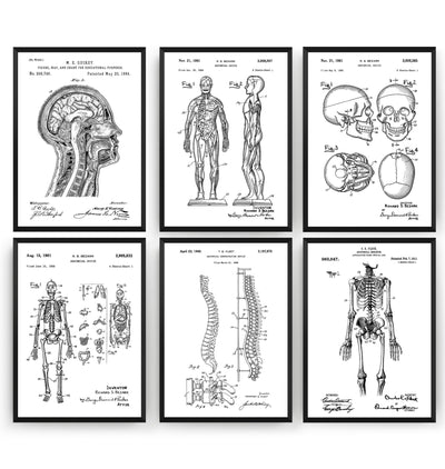 Anatomy Set Of 6 Patent Prints - Magic Posters