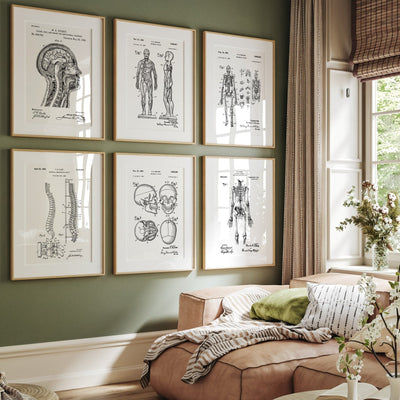 Anatomy Set Of 6 Patent Prints - Magic Posters
