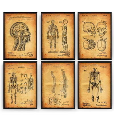 Anatomy Set Of 6 Patent Prints - Magic Posters