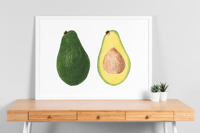 Avocado (Persea) 1937 Print - Magic Posters