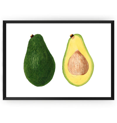 Avocado (Persea) 1937 Print - Magic Posters