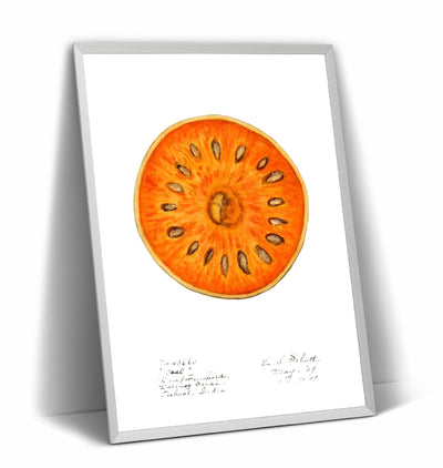 Bael (Aegle Marmelos) 1909 Print - Magic Posters