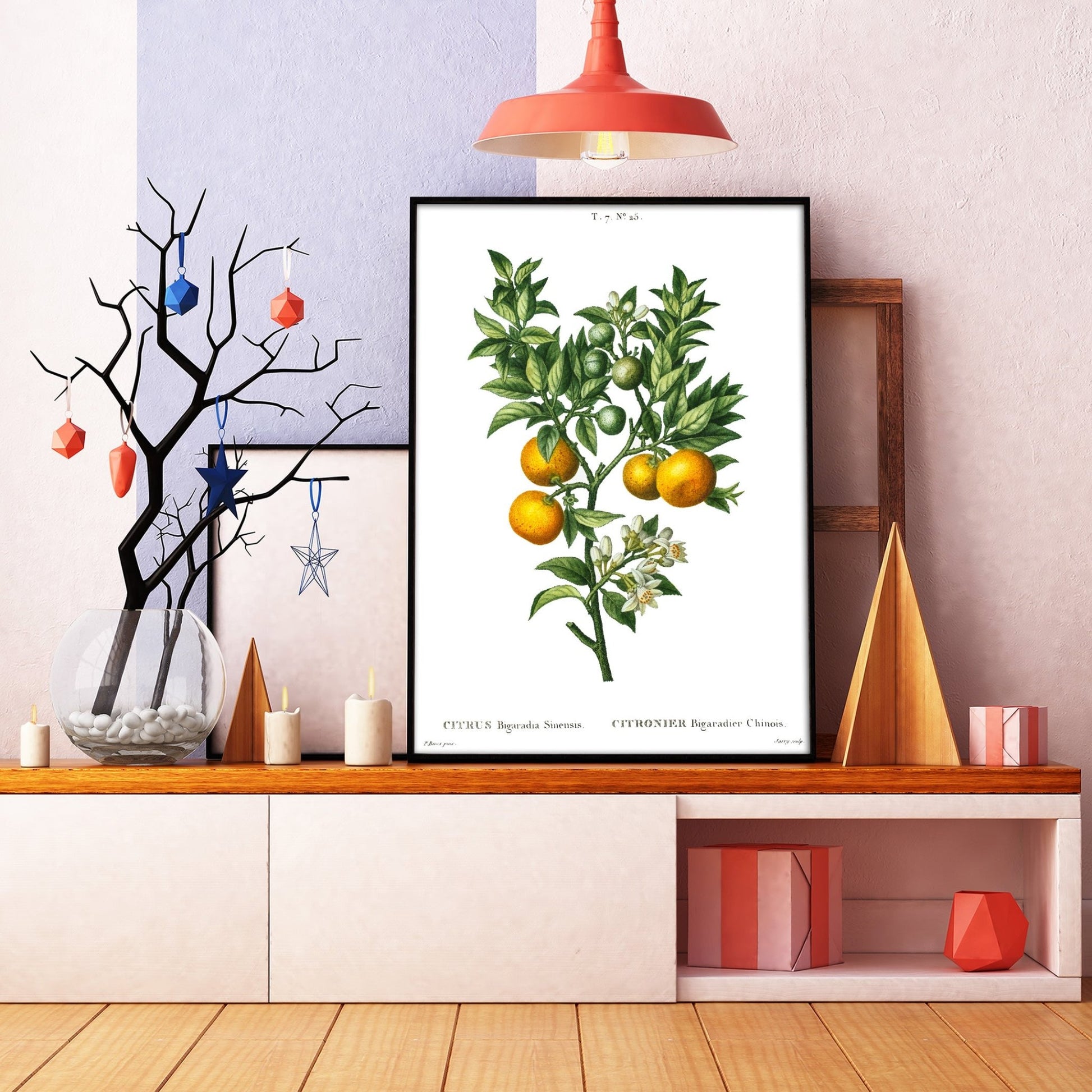 Bitter Sweet Oranges On A Branch (Citrus Bigaradia Sinensis) Print - Magic Posters