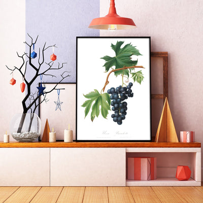 Brachetto Grape (Vitis Vinifera Niceaensis) Print - Magic Posters