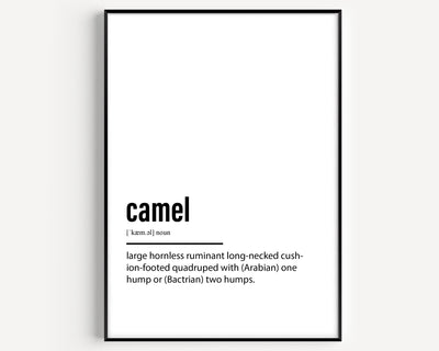 Camel Definition Print - Magic Posters