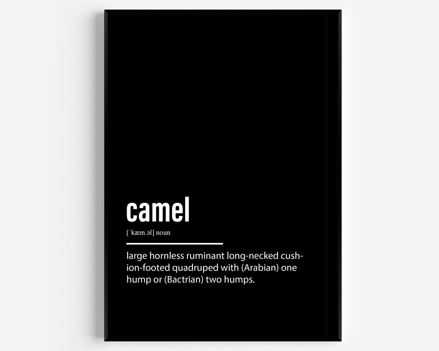 Camel Definition Print - Magic Posters
