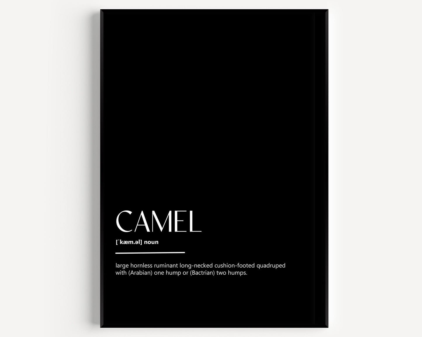Camel Definition Print - Magic Posters