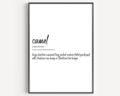 Camel Definition Print - Magic Posters